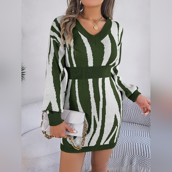 Dresses & Skirts - Zebra Knit Sweater Dress Round Neck Playful Animal Print Long Sleeve Mini Green